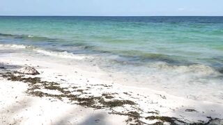 Пляжи Занзибара Chwaka худший пляж для купания отливы регион и парк Jozani обзор местности