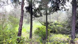 Северный Кипр Alsancak или Esentepe семейное изучение районов и первые выводы о жизни