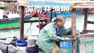 Хайнань окончание сезонного запрета на морскую ловлю когда снова выходят лодки в открытое море