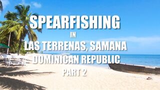 Spearfishing Las Terrenas, подводная охота в Самана Доминикана и встреча с крупной океанской рыбой