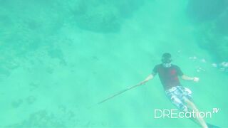 Spearfishing Las Terrenas, подводная охота в Самана Доминикана и встреча с крупной океанской рыбой