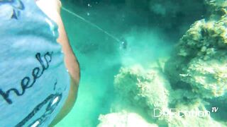 Spearfishing Las Terrenas, подводная охота в Самана Доминикана и встреча с крупной океанской рыбой
