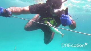 Spearfishing Las Terrenas, подводная охота в Самана Доминикана и встреча с крупной океанской рыбой
