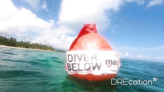 Spearfishing Las Terrenas, подводная охота в Самана Доминикана и встреча с крупной океанской рыбой