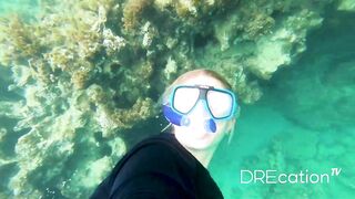 Spearfishing Las Terrenas, подводная охота в Самана Доминикана и встреча с крупной океанской рыбой