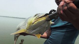 Yellow Cheek fishing, озеро Pearl Lake Shanghai выезд с Gong Lei и тест местных снастей