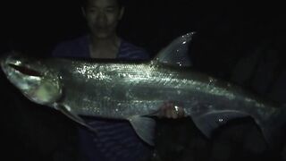 Yellow Cheek fishing, озеро Pearl Lake Shanghai выезд с Gong Lei и тест местных снастей
