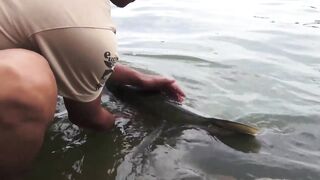 Yellow Cheek fishing, озеро Pearl Lake Shanghai выезд с Gong Lei и тест местных снастей