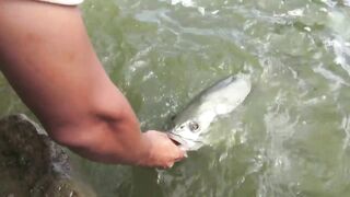 Yellow Cheek fishing, озеро Pearl Lake Shanghai выезд с Gong Lei и тест местных снастей