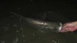 Yellow Cheek fishing, озеро Pearl Lake Shanghai выезд с Gong Lei и тест местных снастей