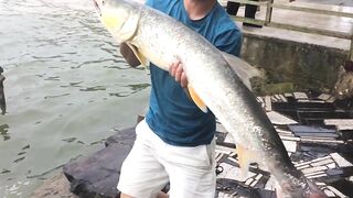 Yellow Cheek fishing, озеро Pearl Lake Shanghai выезд с Gong Lei и тест местных снастей