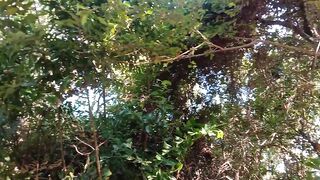 Coral Island Phuket морская рыбалка на острове и приватные туры на скоростной лодке для небольшой компании