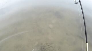 Зимний спиннинг на озерах Крыма сезон 2021 первые трофеи на вращающиеся приманки со льда и берега