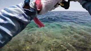 Shore jigging Marsa Alam береговая джиговая ловля в Красном море на свалах и рифах Египта