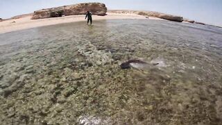 Shore jigging Marsa Alam береговая джиговая ловля в Красном море на свалах и рифах Египта