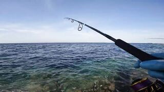 Shore jigging Marsa Alam береговая джиговая ловля в Красном море на свалах и рифах Египта