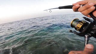 Shore jigging Marsa Alam береговая джиговая ловля в Красном море на свалах и рифах Египта