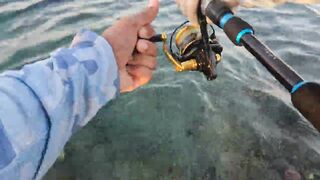 Shore jigging Marsa Alam береговая джиговая ловля в Красном море на свалах и рифах Египта