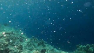 Shore jigging Marsa Alam береговая джиговая ловля в Красном море на свалах и рифах Египта