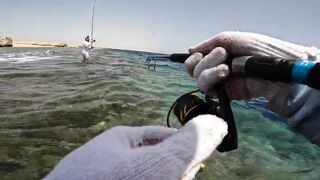 Shore jigging Marsa Alam береговая джиговая ловля в Красном море на свалах и рифах Египта