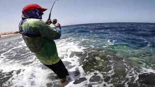 Shore jigging Marsa Alam береговая джиговая ловля в Красном море на свалах и рифах Египта