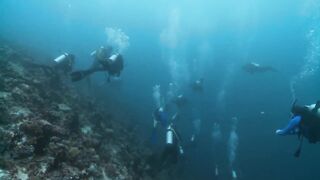 Мальдивы: семь чудес тропического архипелага снорклинг дайвинг домашние рифы и формат отдыха на островах