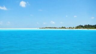 Мальдивы: семь чудес тропического архипелага снорклинг дайвинг домашние рифы и формат отдыха на островах