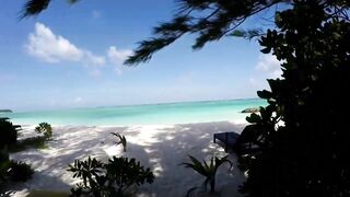 Мальдивы: семь чудес тропического архипелага снорклинг дайвинг домашние рифы и формат отдыха на островах