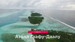 Мальдивы: семь чудес тропического архипелага снорклинг дайвинг домашние рифы и формат отдыха на островах