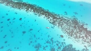 Мальдивы: семь чудес тропического архипелага снорклинг дайвинг домашние рифы и формат отдыха на островах