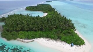 Мальдивы: семь чудес тропического архипелага снорклинг дайвинг домашние рифы и формат отдыха на островах