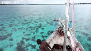 Путеводитель по Pemba Island Tanzania пляжи дайвинг мангровые лагуны и идеи для морских прогулок