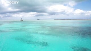 Путеводитель по Pemba Island Tanzania пляжи дайвинг мангровые лагуны и идеи для морских прогулок