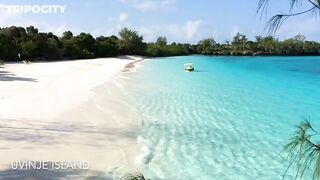 Путеводитель по Pemba Island Tanzania пляжи дайвинг мангровые лагуны и идеи для морских прогулок