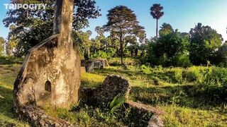 Путеводитель по Pemba Island Tanzania пляжи дайвинг мангровые лагуны и идеи для морских прогулок