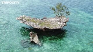 Путеводитель по Pemba Island Tanzania пляжи дайвинг мангровые лагуны и идеи для морских прогулок