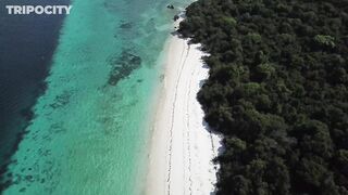 Путеводитель по Pemba Island Tanzania пляжи дайвинг мангровые лагуны и идеи для морских прогулок