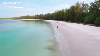 Путеводитель по Pemba Island Tanzania пляжи дайвинг мангровые лагуны и идеи для морских прогулок
