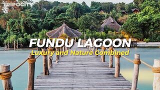 Путеводитель по Pemba Island Tanzania пляжи дайвинг мангровые лагуны и идеи для морских прогулок