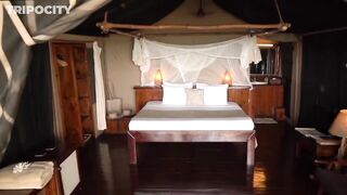 Путеводитель по Pemba Island Tanzania пляжи дайвинг мангровые лагуны и идеи для морских прогулок