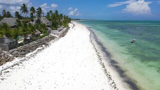 Занзибар какой пляж выбрать Paje или Jambiani для купания отдыха и вылазок в море за рыбой