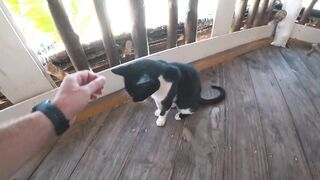 Занзибар какой пляж выбрать Paje или Jambiani для купания отдыха и вылазок в море за рыбой