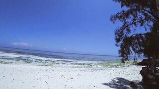 Занзибар самостоятельно Кизимкази пляж Мтенде тайные пещеры и легендарный дворец Синдбада