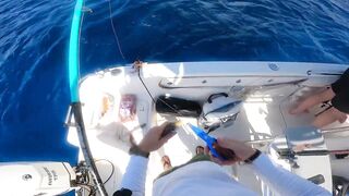 Cuba Fishing морская рыбалка на Кубе за океанскими трофеями у песчаных берегов Карибского моря