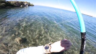 Cuba Fishing морская рыбалка на Кубе за океанскими трофеями у песчаных берегов Карибского моря