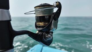 Глубинная морская рыбалка в Нячанге Вьетнам кальмары и queenfish на выезде в открытое море