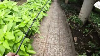 Saigon street fishing городские каналы Хошимина ловля с берега и прогулка по улицам