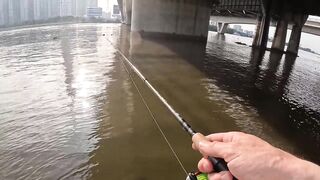 Saigon street fishing городские каналы Хошимина ловля с берега и прогулка по улицам