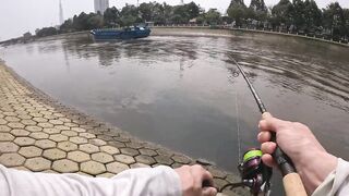 Saigon street fishing городские каналы Хошимина ловля с берега и прогулка по улицам