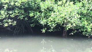 Bentota River Sri Lanka - guided fishing tour красный снэппер барракуда и увлекательная ловля на реке